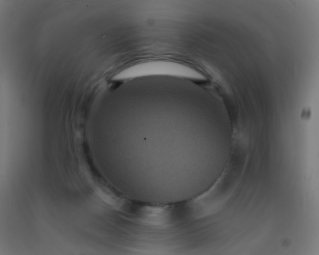 X0000092320170200709281413