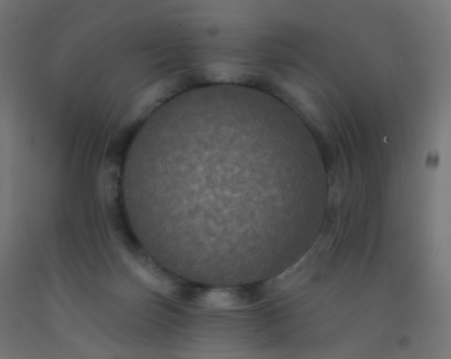 X0000092320171200709281413