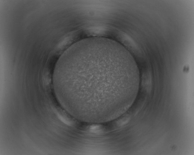 X0000092320173200709281413