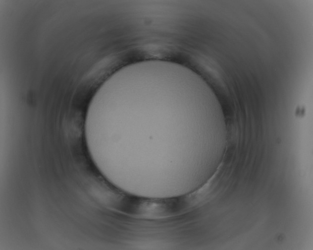 X0000092320174200709281413