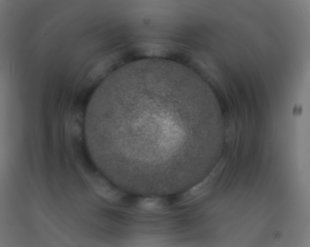 X0000092320175200709281413