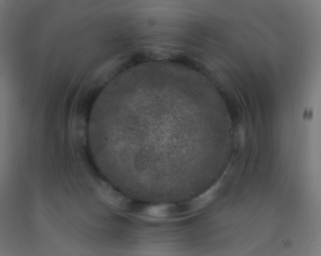 X0000092320178200709281413