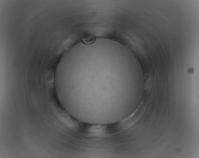 X0000092320179200709281413