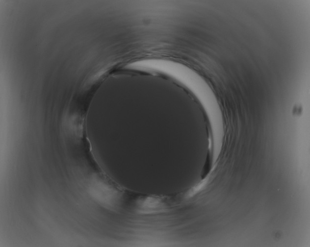 X0000092320180200709281413