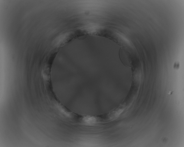 X0000092320181200709281413