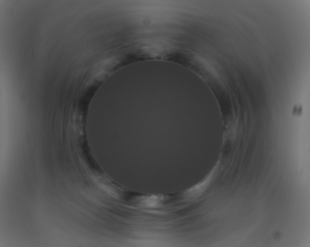 X0000092320182200709281413