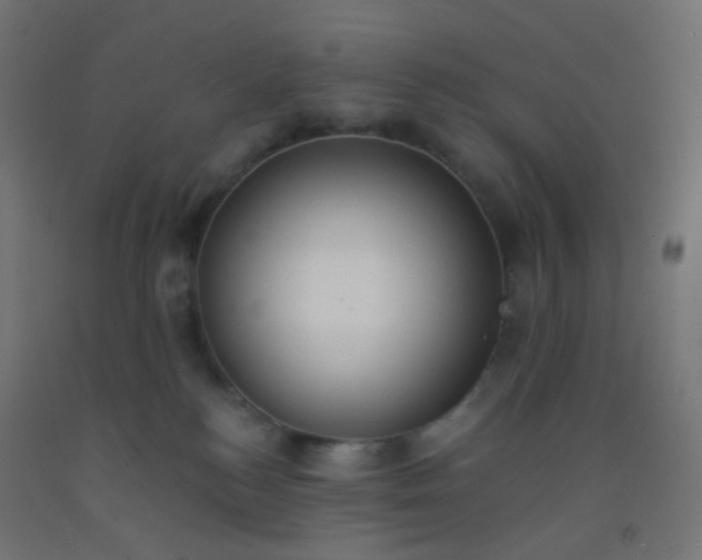 X0000092320184200709281413
