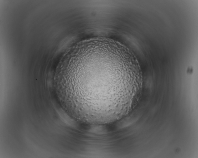 X0000092320185200709281413