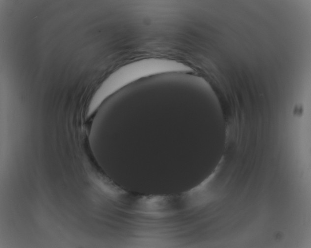 X0000092320186200709281413