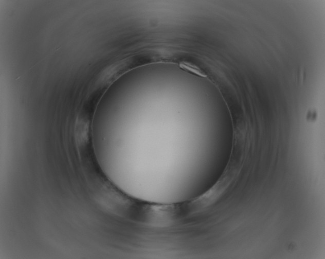 X0000092320188200709281413