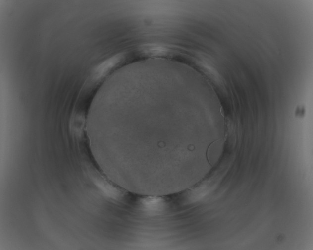 X0000092320189200709281413