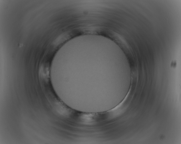 X0000092320190200709281413