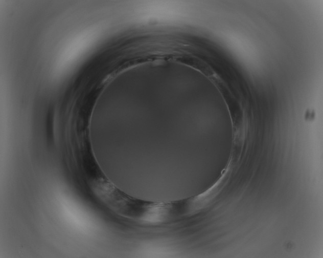 X0000092320191200709281413
