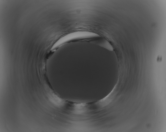 X0000092320192200709281413