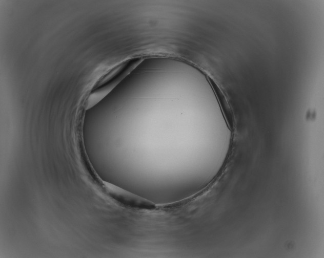 X0000092320193200709281413