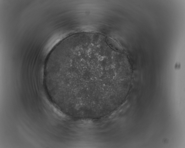 X0000092320194200709281413