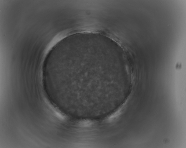 X0000092320198200709281413
