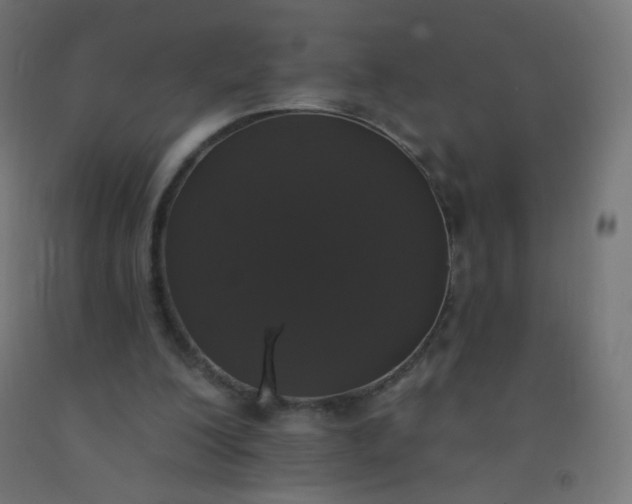 X0000092320200200709281413