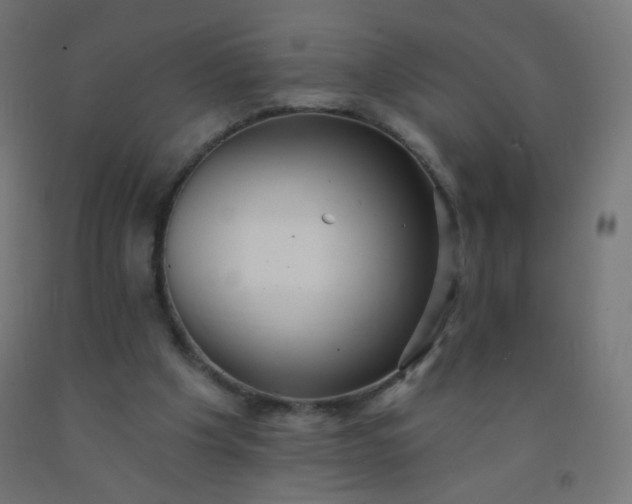 X0000092320201200709281413