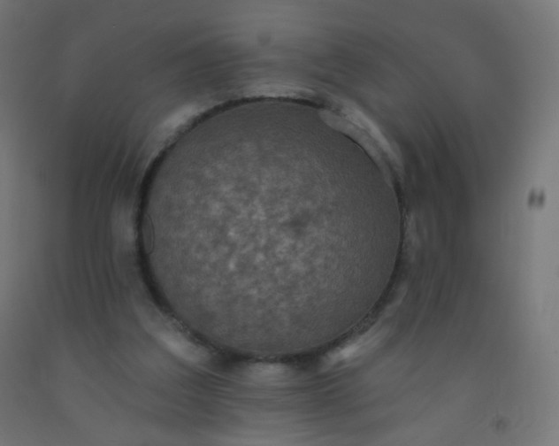 X0000092320203200709281413
