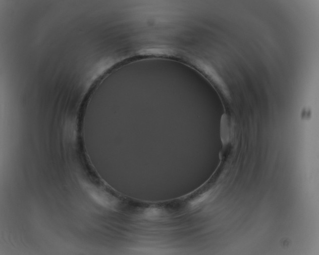 X0000092320204200709281413