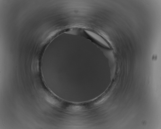 X0000092320205200709281413