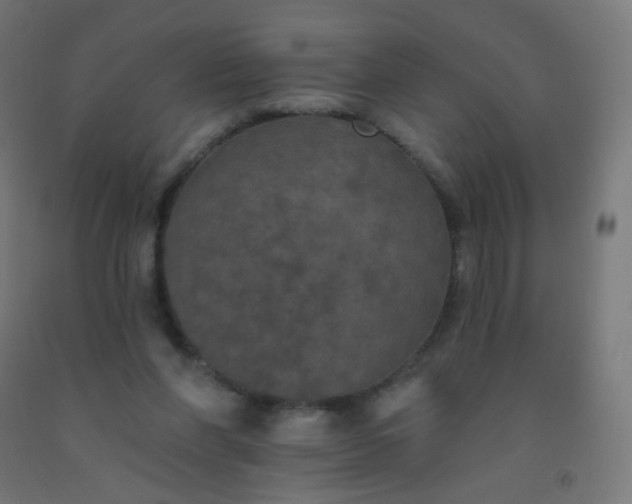 X0000092320206200709281413