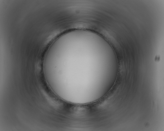 X0000092320208200709281413