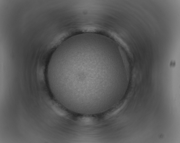X0000092320209200709281413