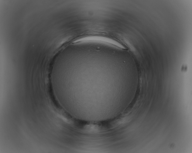 X0000092320211200709281413