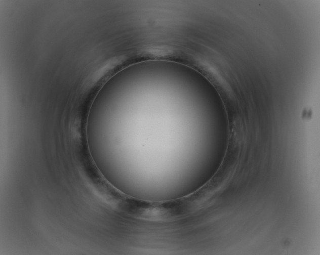 X0000092320212200709281413