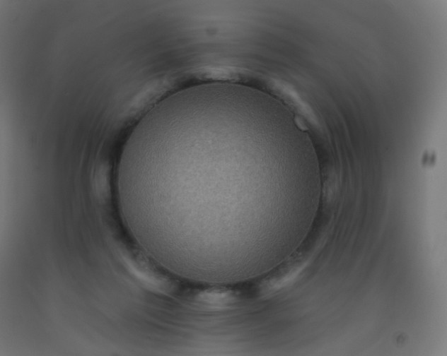 X0000092320213200709281413