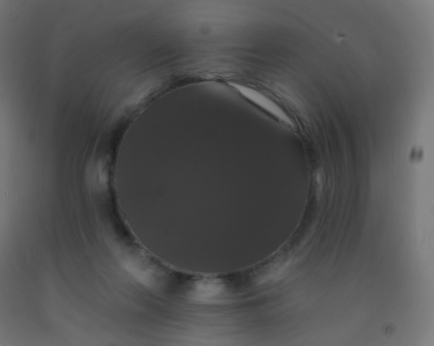 X0000092320214200709281413