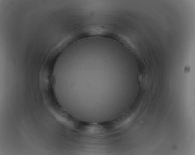 X0000092320215200709281412
