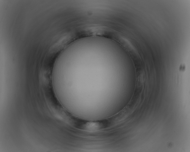 X0000092320218200709281412