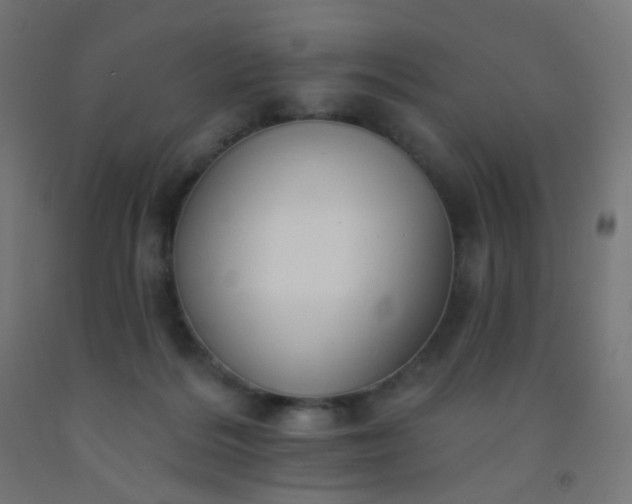 X0000092320220200709281412