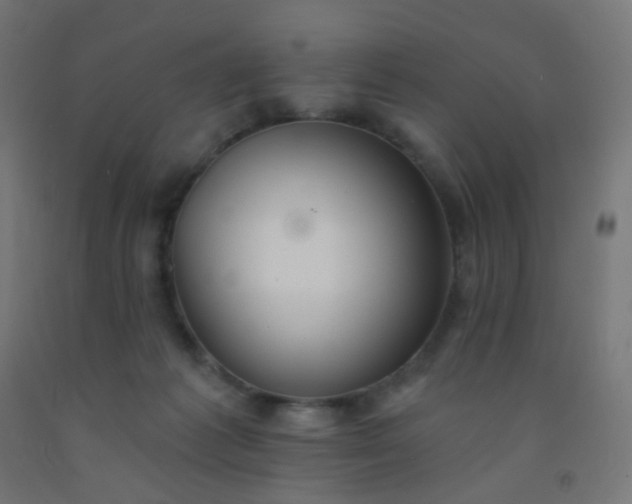 X0000092320221200709281412