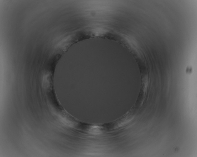 X0000092320222200709281412