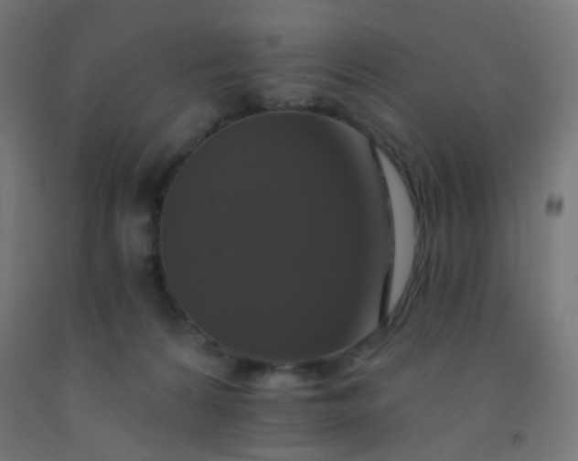 X0000092320224200709281412