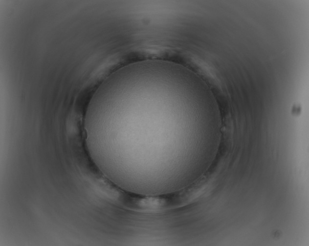 X0000092320225200709281412