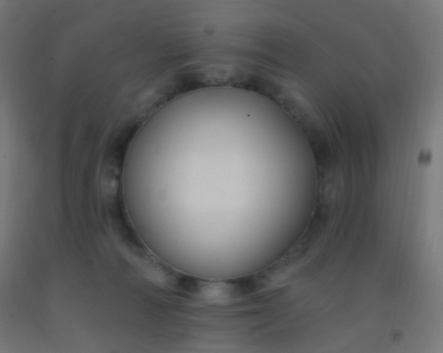 X0000092320226200709281412