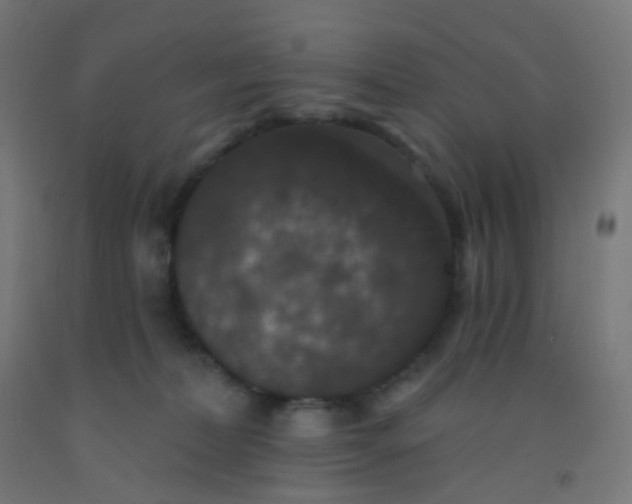 X0000092320228200709281412