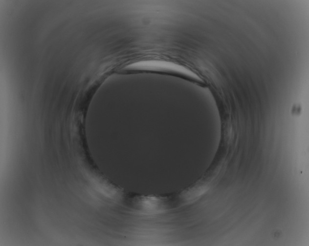 X0000092320229200709281412