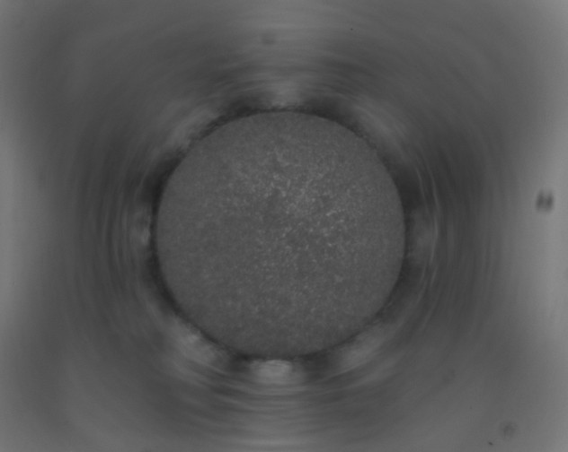 X0000092320230200709281412