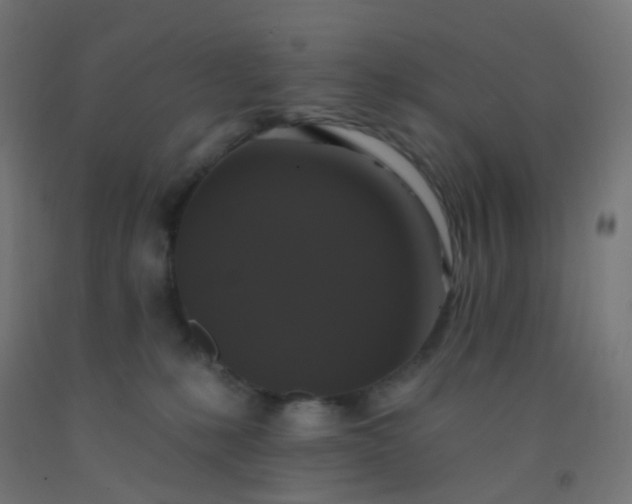 X0000092320231200709281412