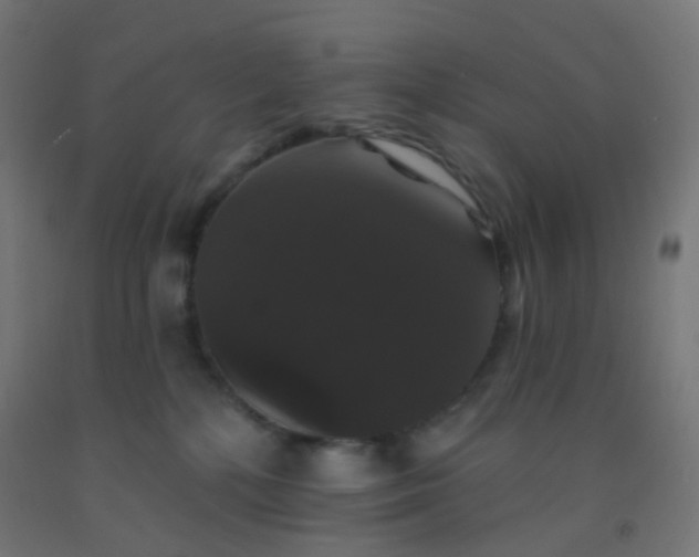 X0000092320232200709281412