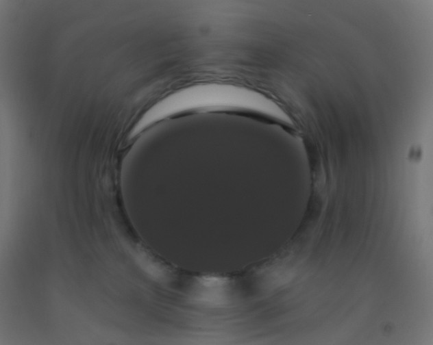 X0000092320233200709281412