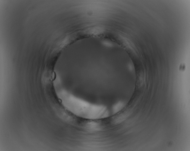 X0000092320236200709281412