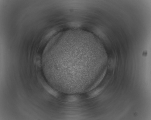 X0000092320238200709281412