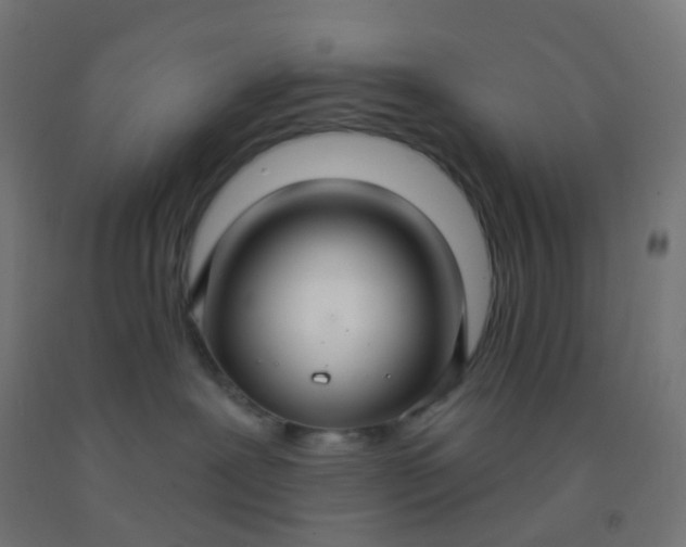 X0000092320239200709281412